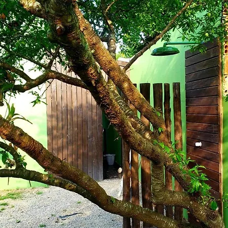 Apartamento Morada Flor de Alaíde - Pinheira Exterior foto